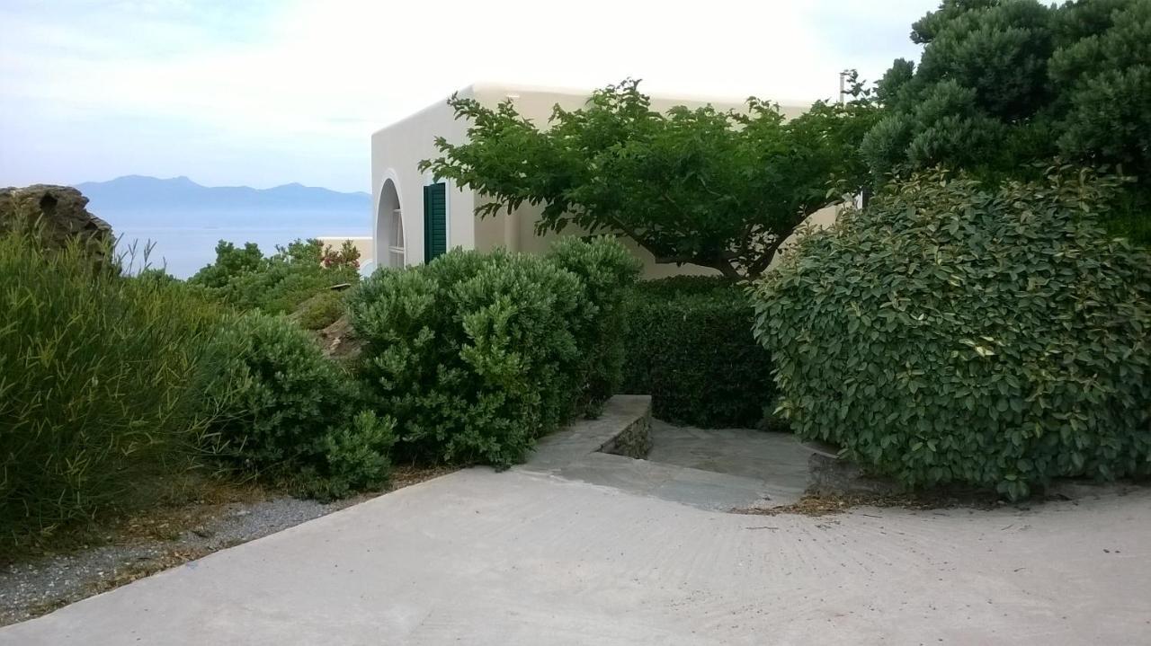 Andros Eco Home 加夫里翁 外观 照片
