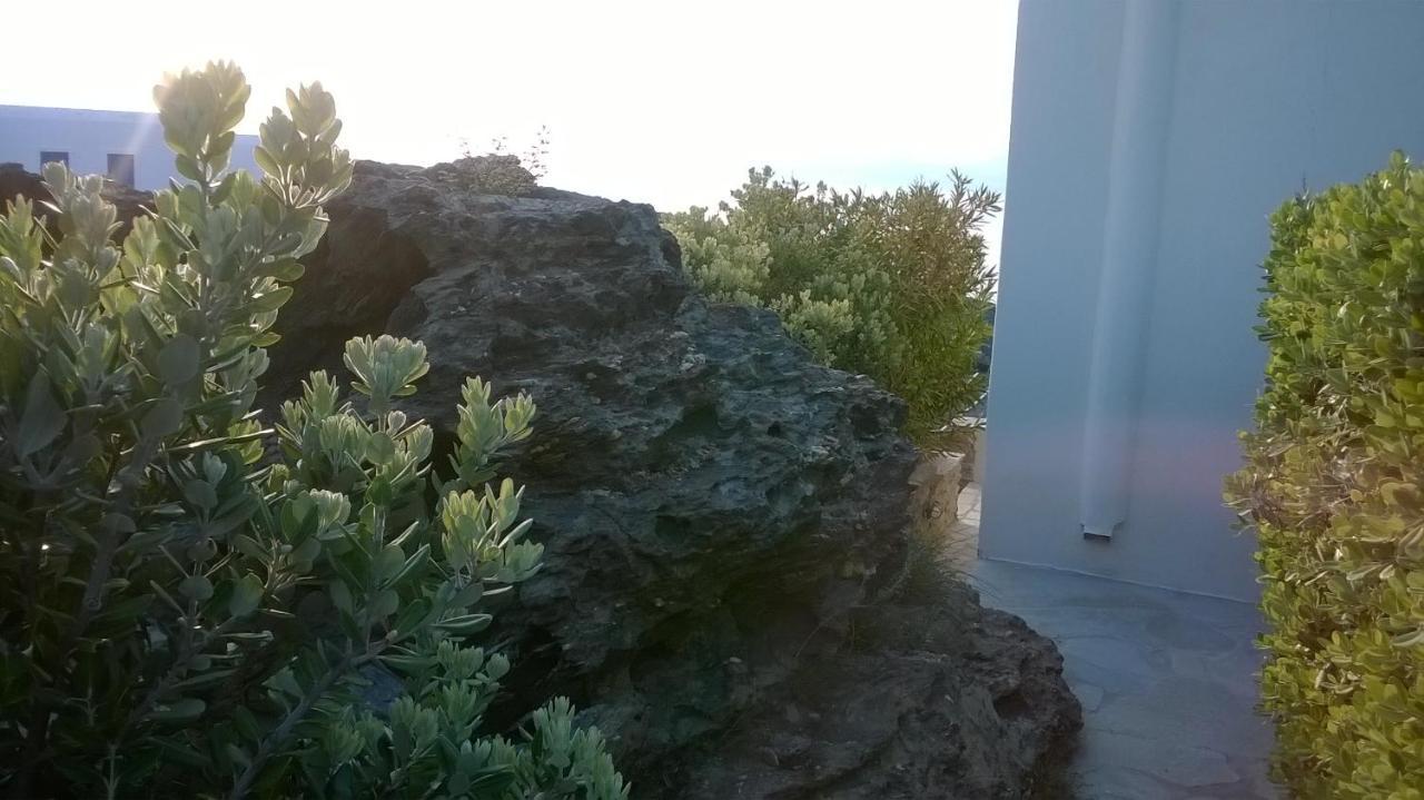 Andros Eco Home 加夫里翁 外观 照片