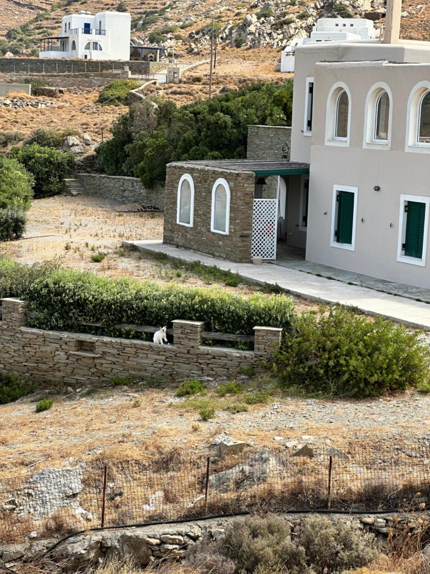 Andros Eco Home 加夫里翁 外观 照片